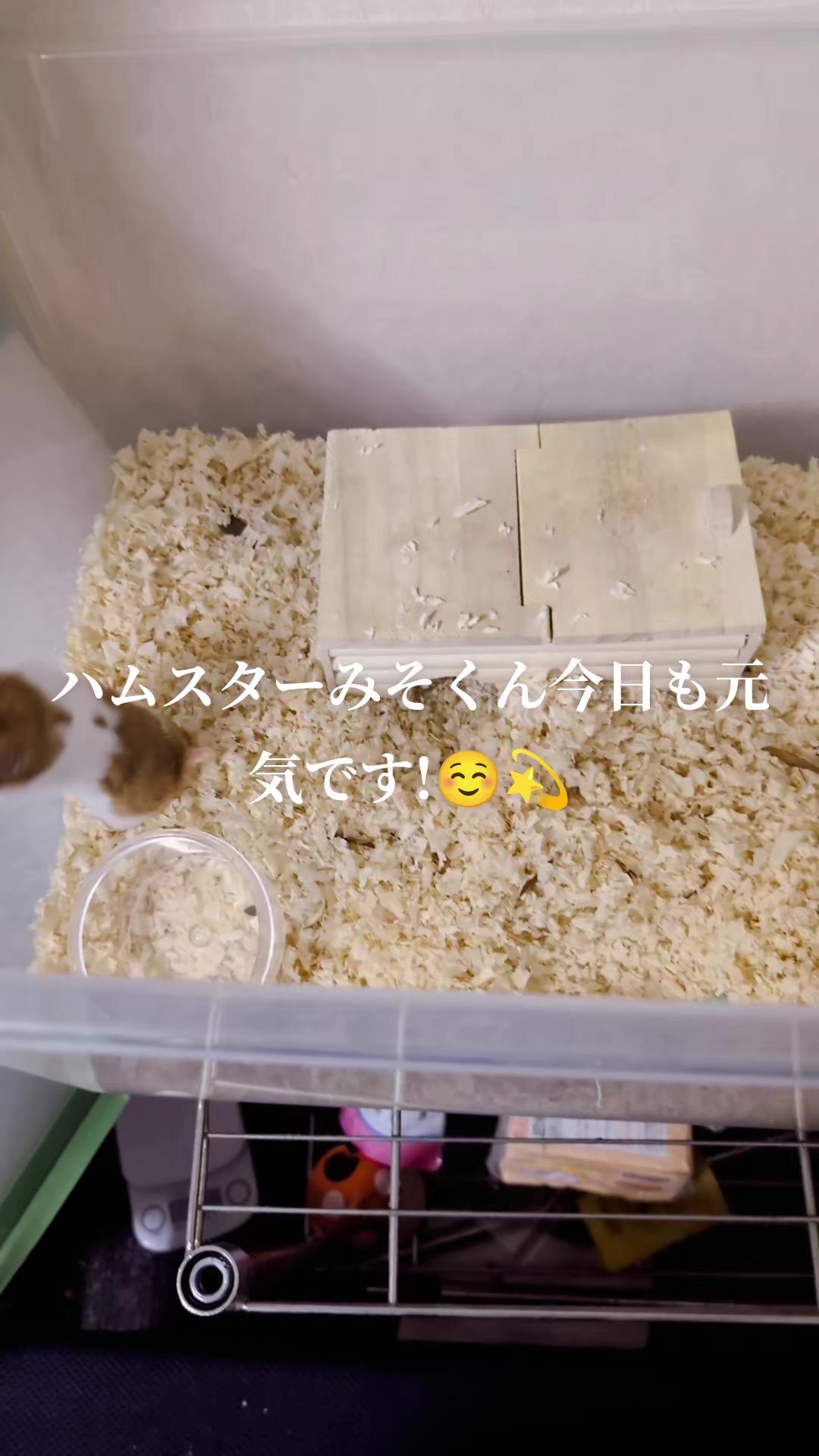 @K・B・M