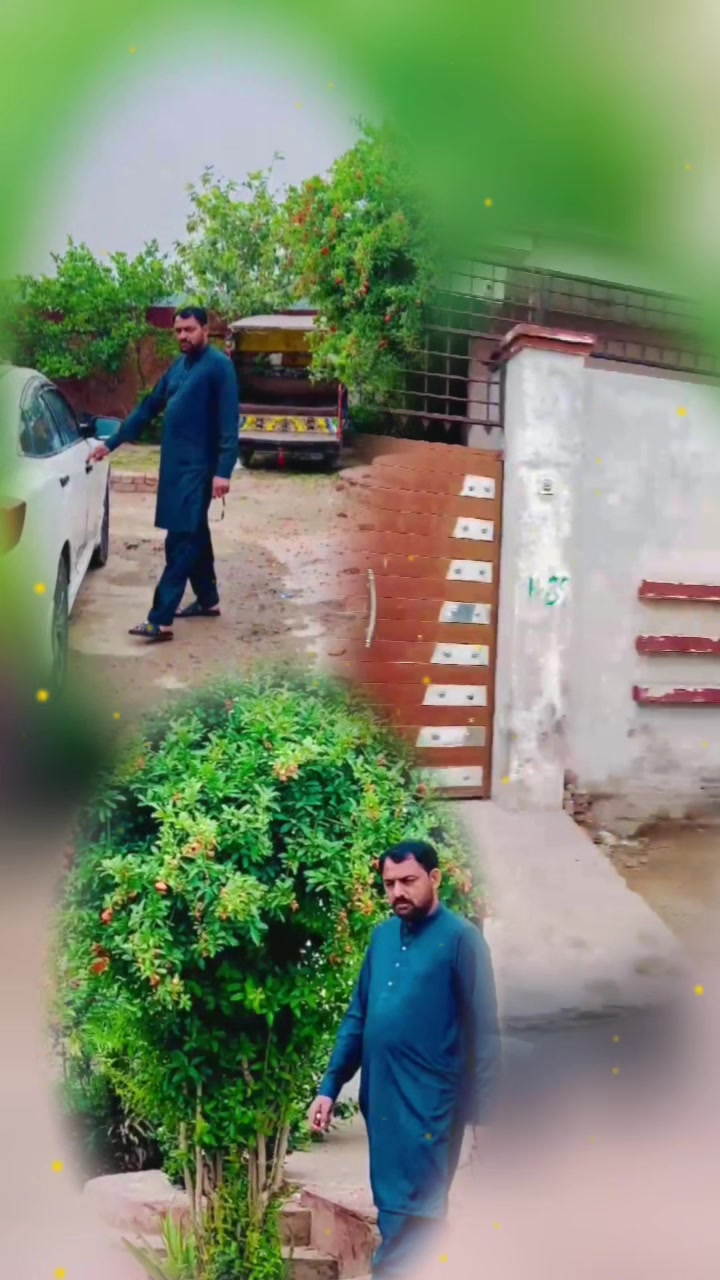@Rao Sajjad 830