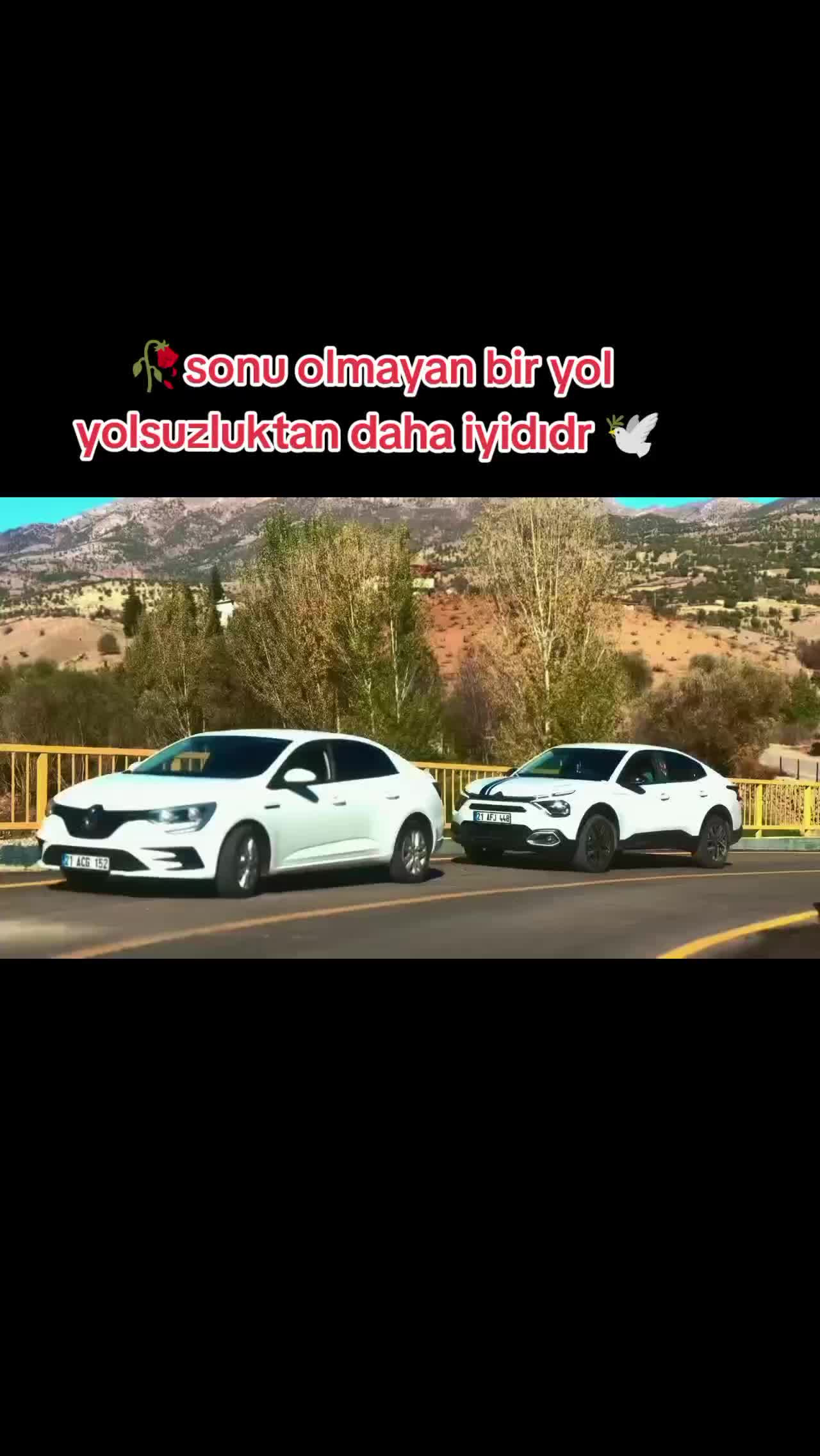 @💫DILO 21 💫