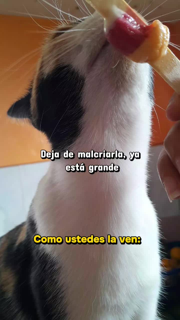 @•Estefania•