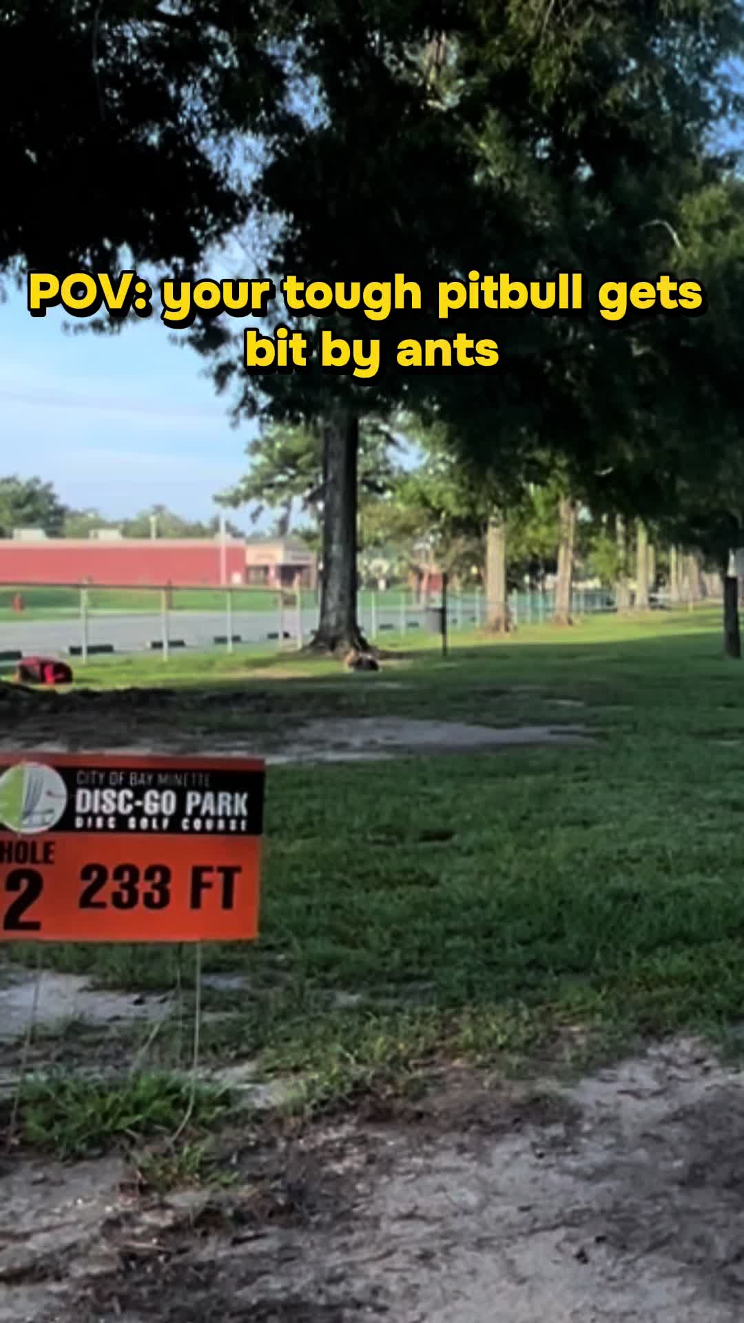 @Not The Worst Disc Golf