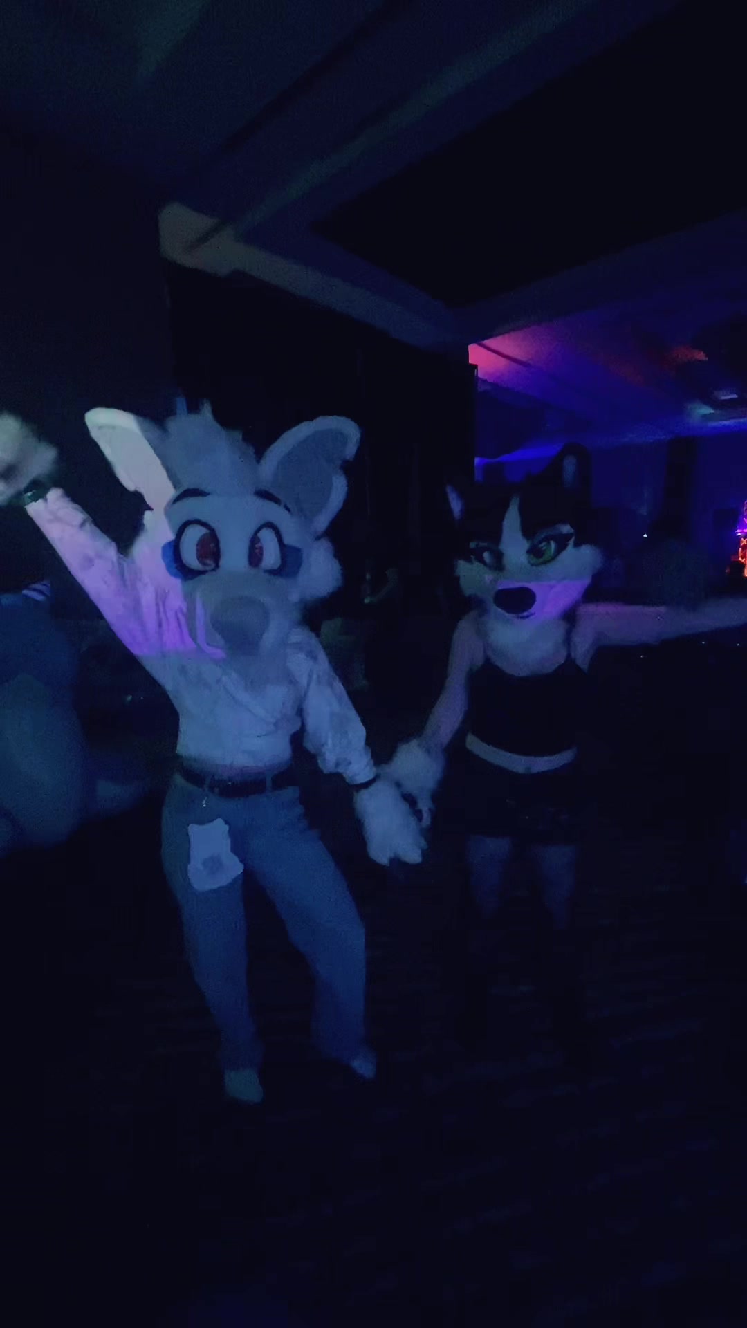 @⟡˙⋆Jazz⋆˙⟡