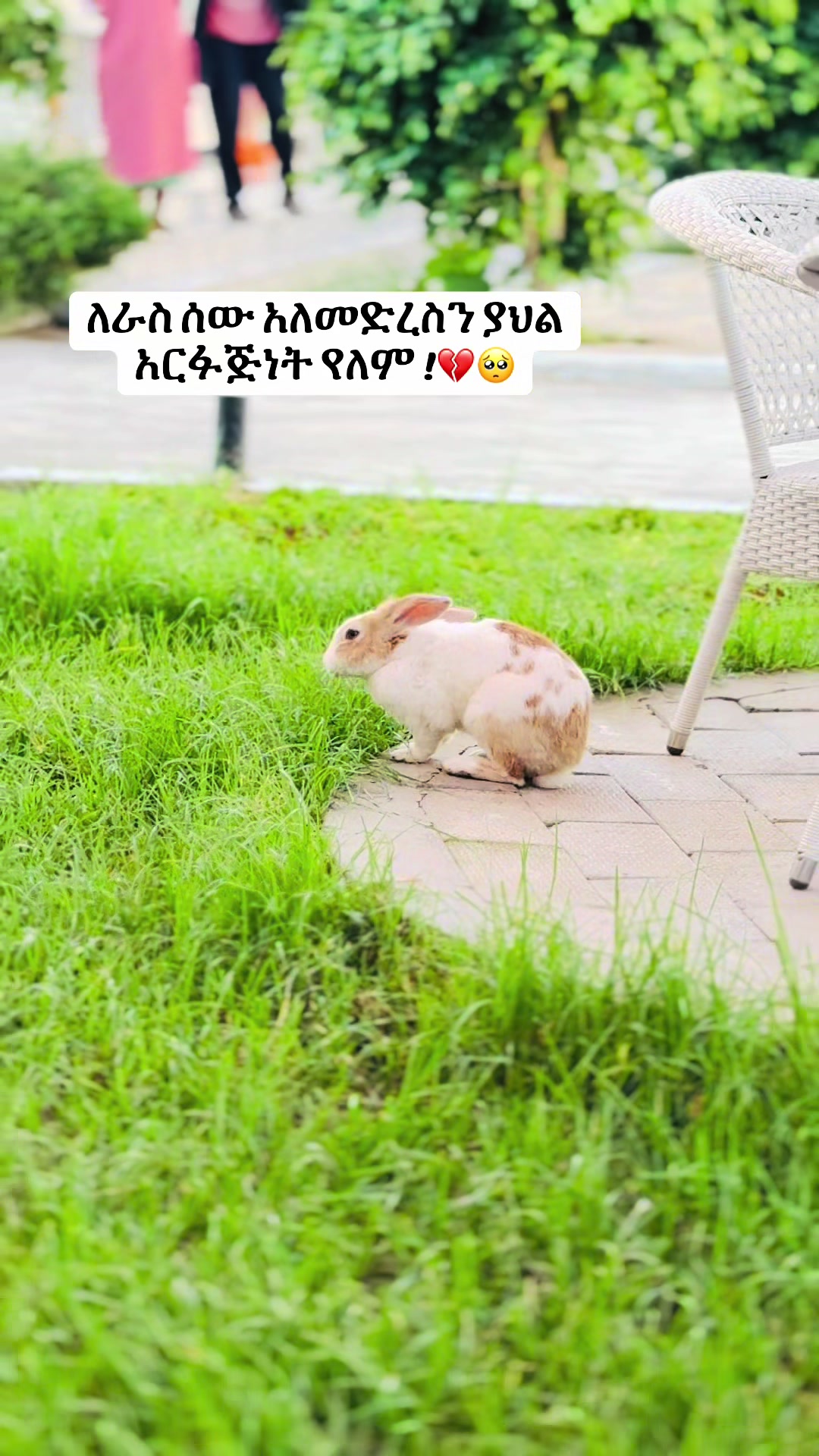 @fufunew1