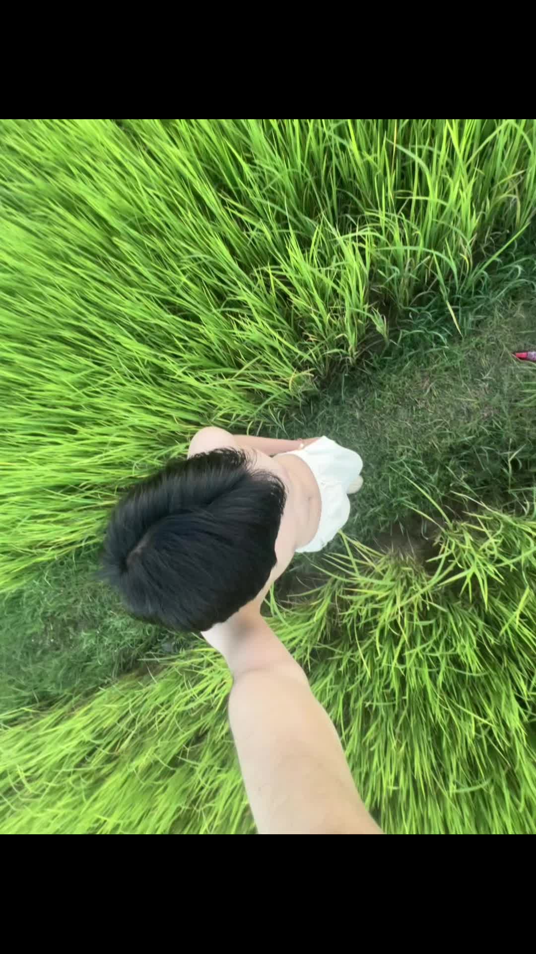 @C H E M-๐ถแฅซแญก