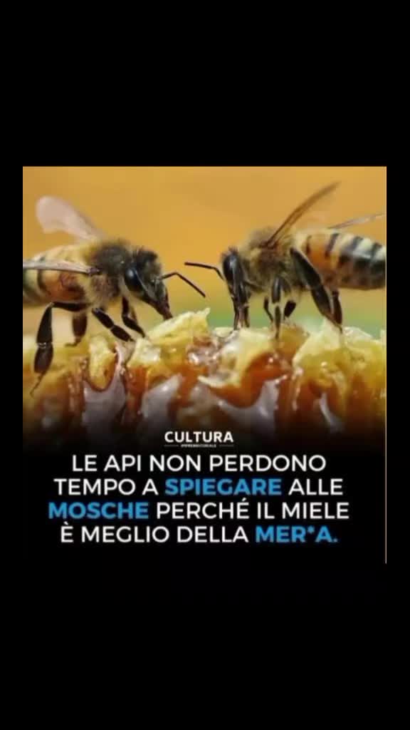@Pino Di Lascio