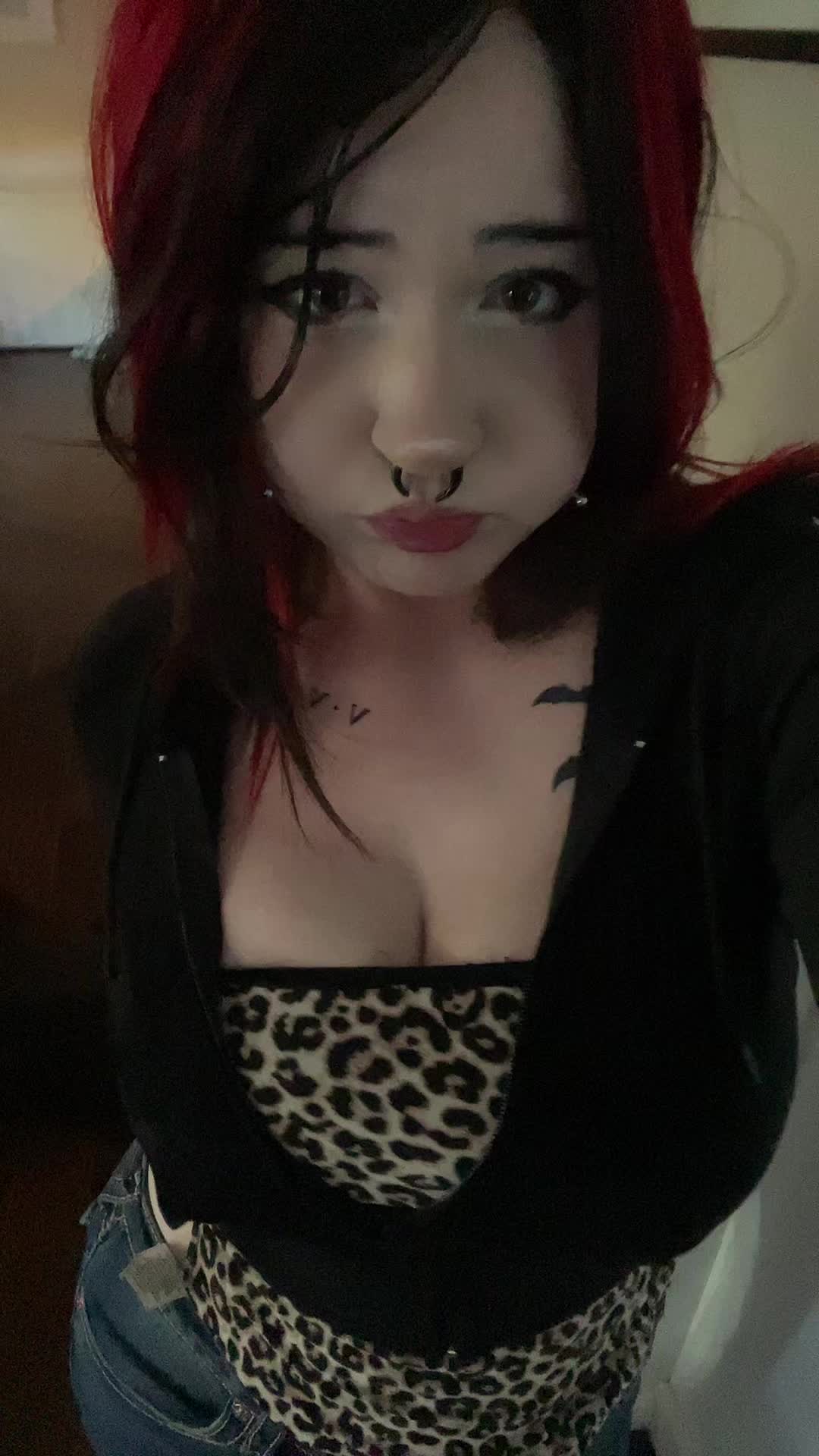 @🐈&zwj;⬛