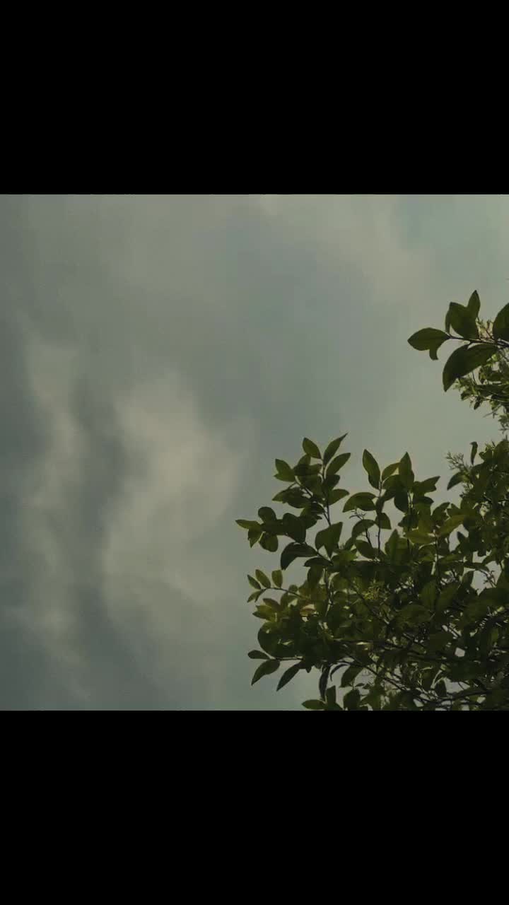 @hassan._._.69