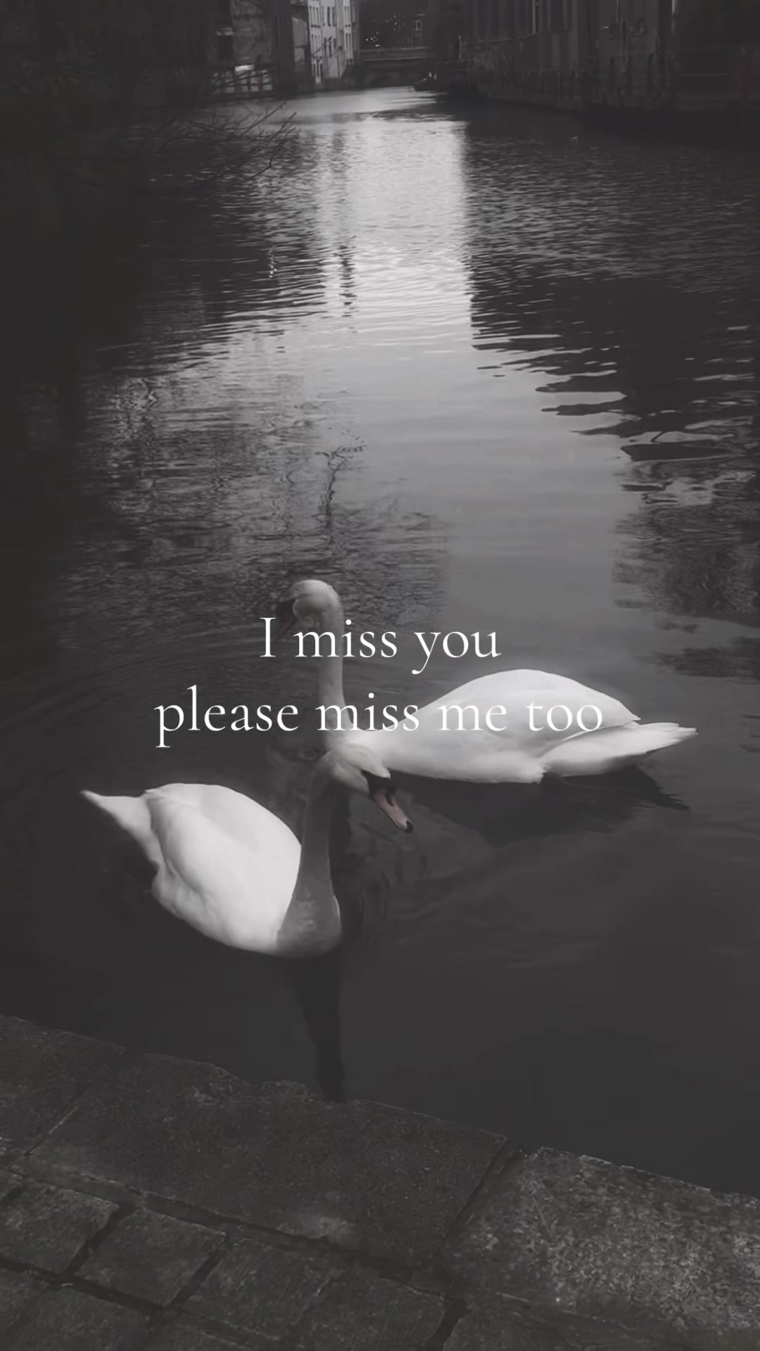 @zayd