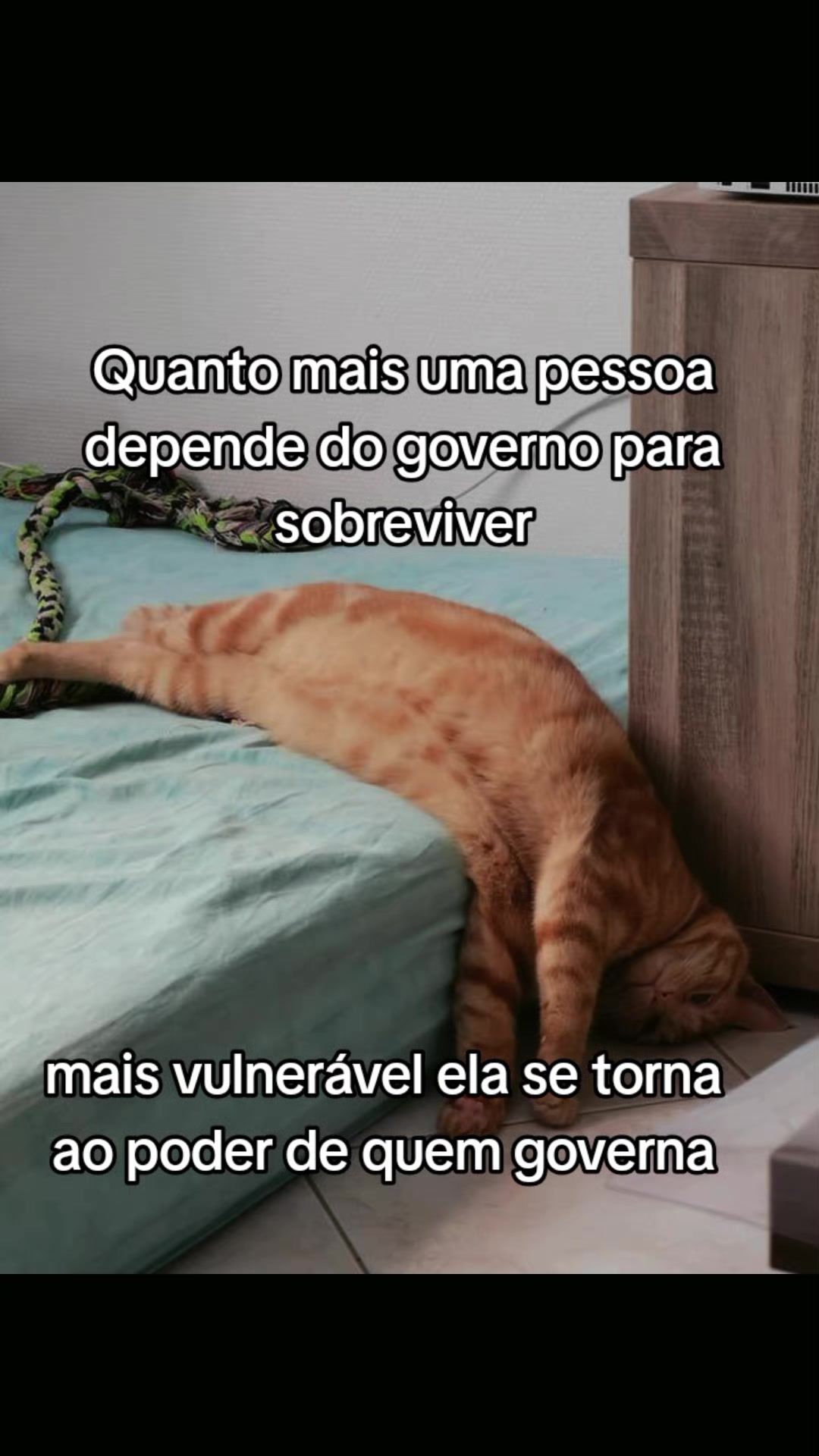 @Gato Xadrez