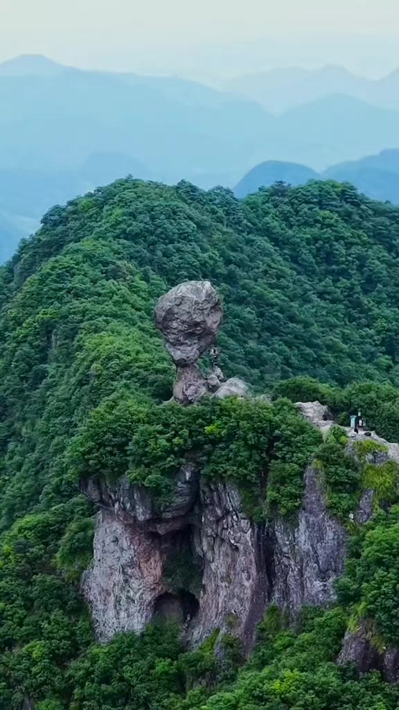 @Lê Đức Cương Bonsai