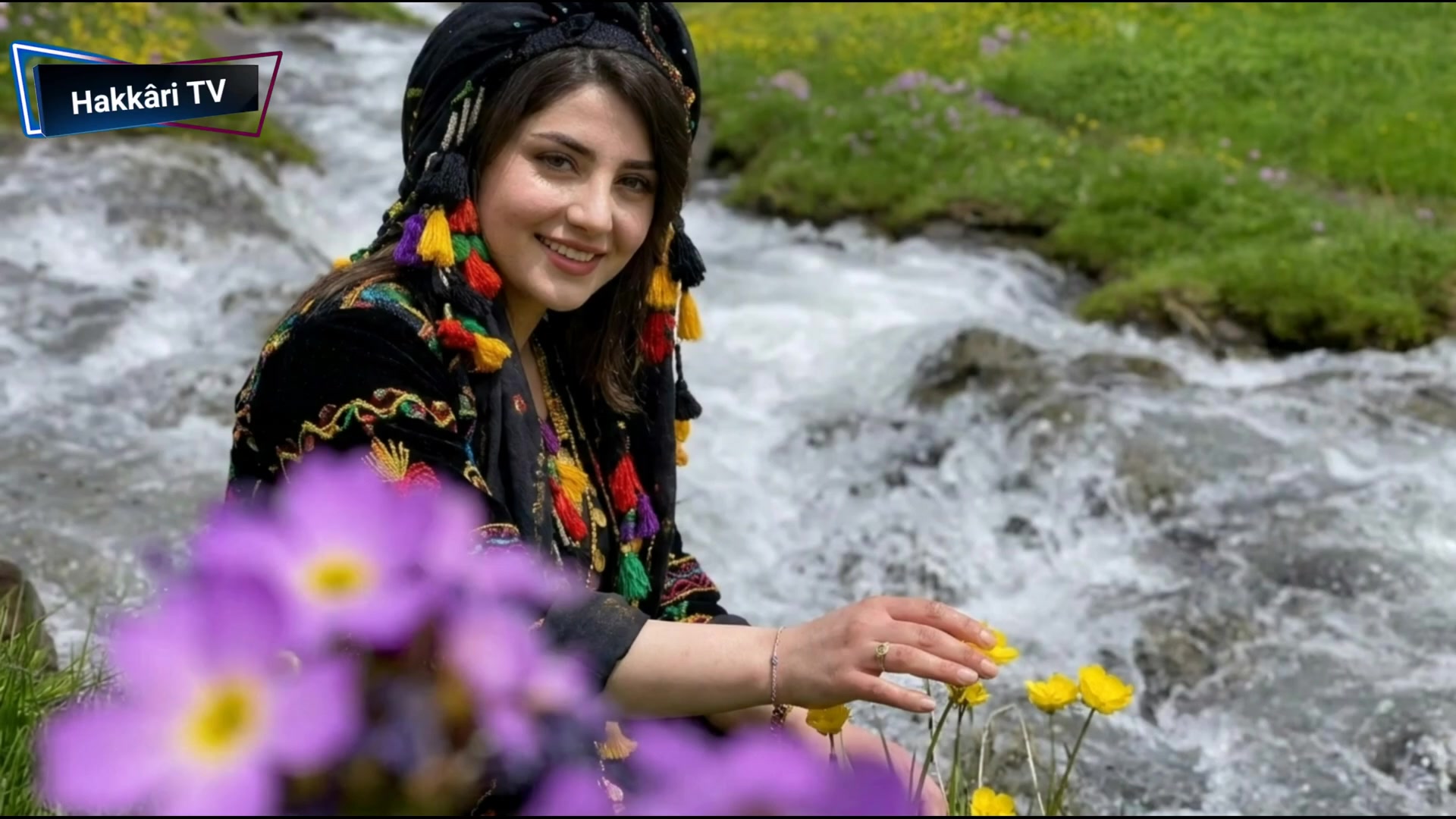 @Hakk&acirc;ri TV