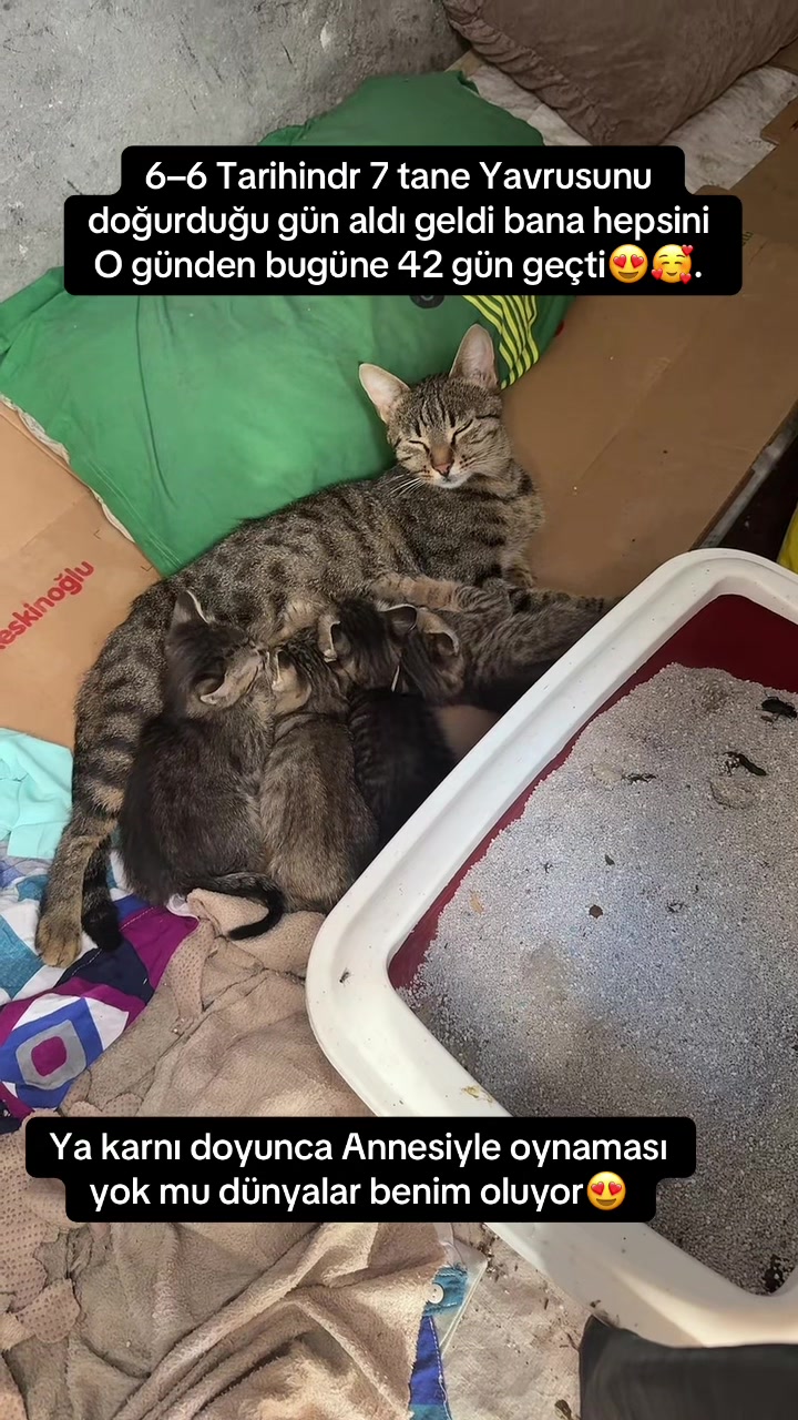 @Suzan❤️ 🐾 angel 😉