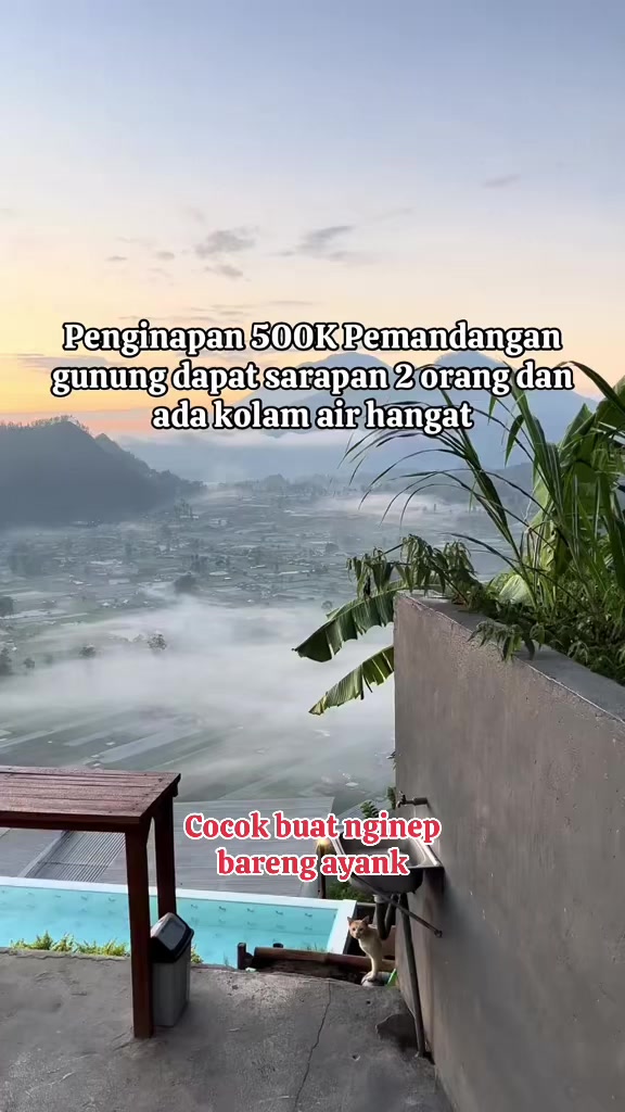 @Balinese Info