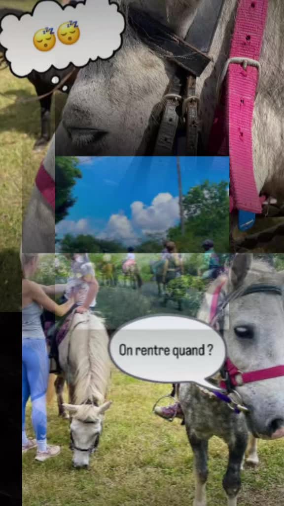 @☘️🦄Aela🌷🙏❤️