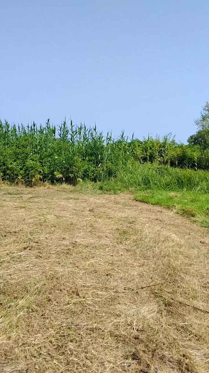 @dadaşov__475
