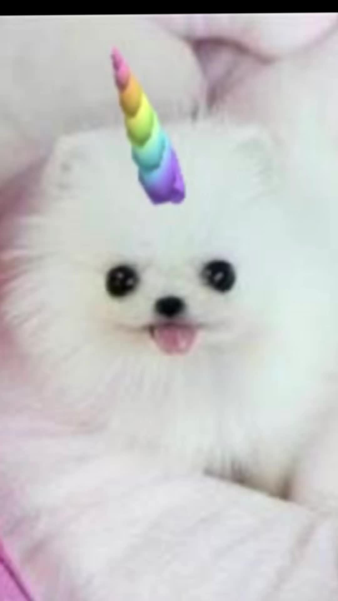 @๐๐๐ฉ๐พ๐ง๐ฌ