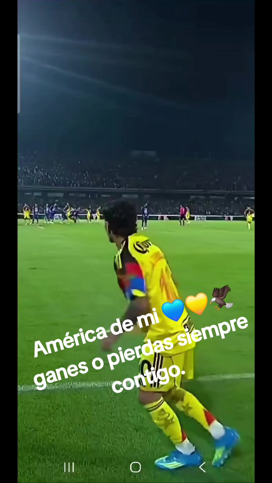 @Beatriz Ortega