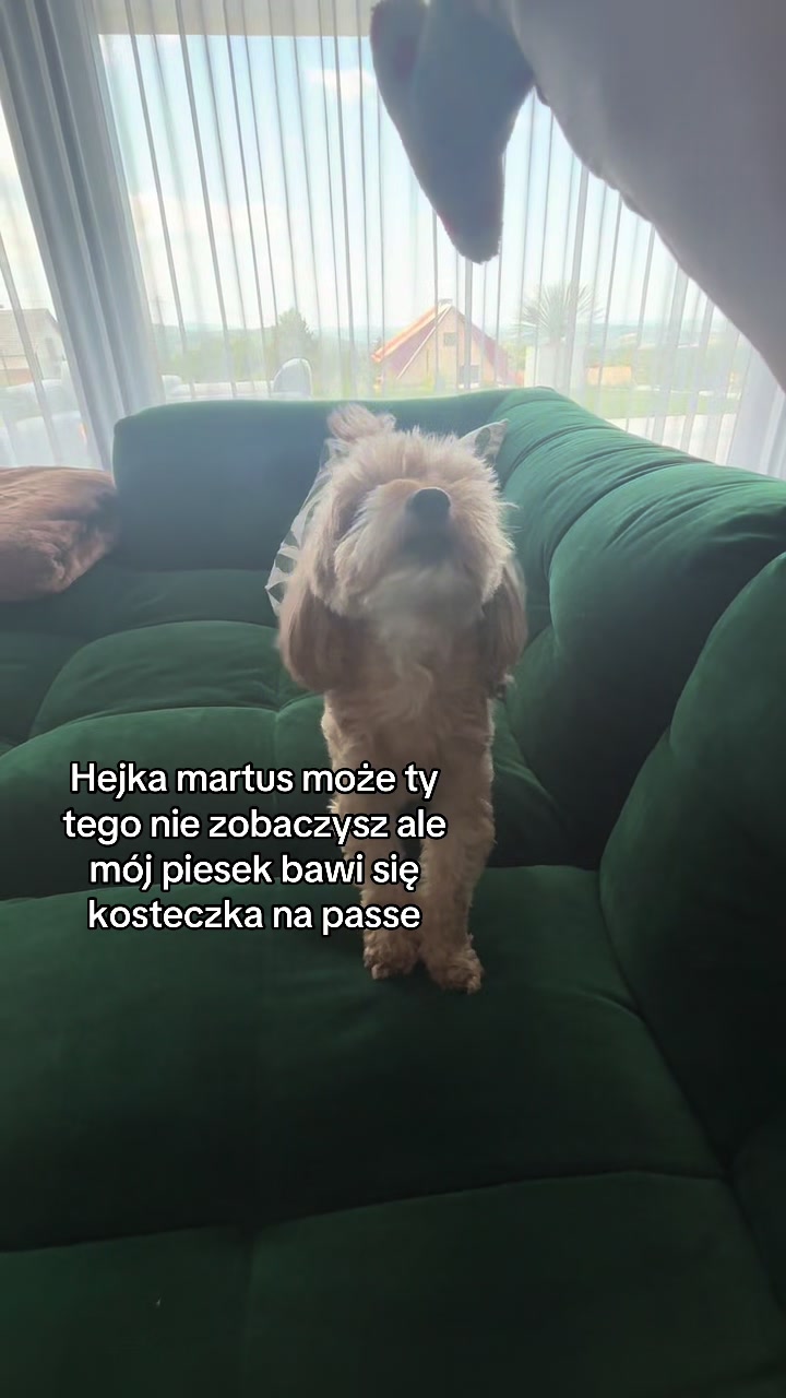 @<:only_martaerr:>