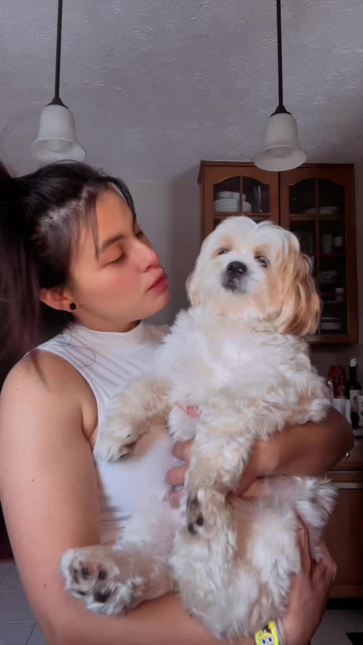 @stefanyarg3