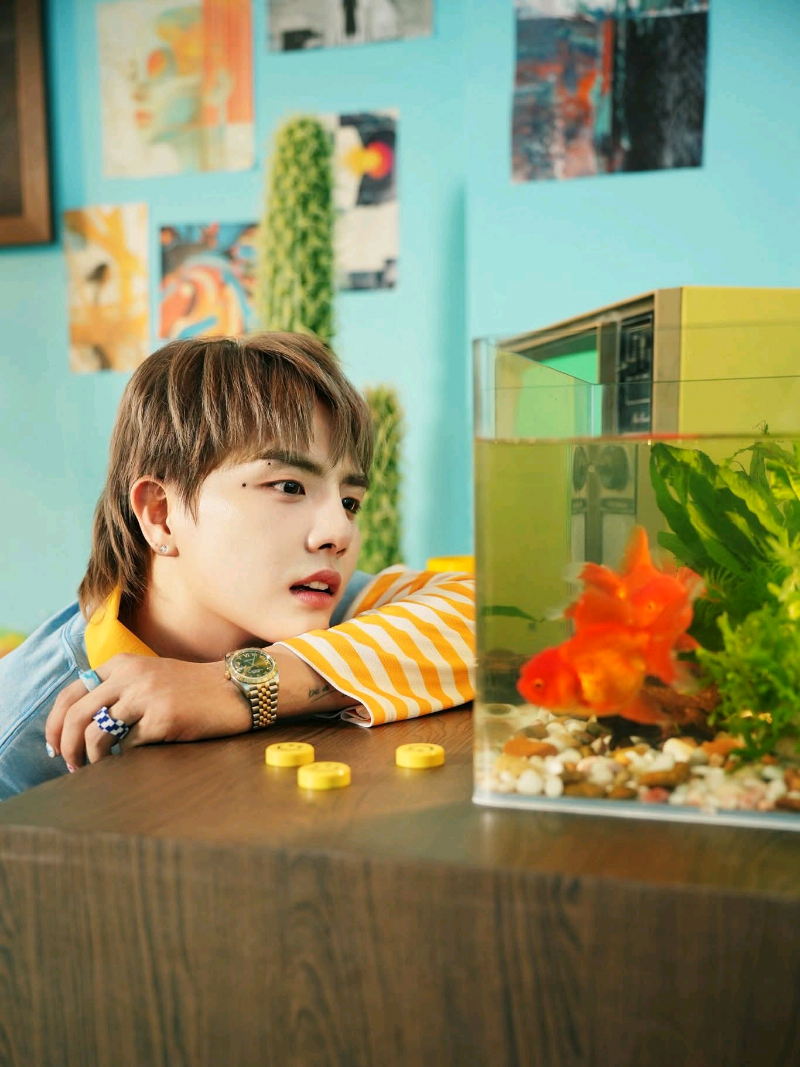 @🍓 Me-n-u 🌵