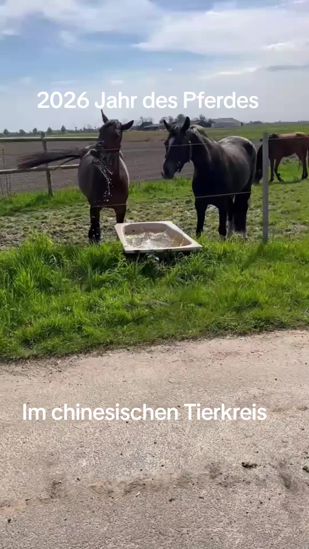 @Sandra Gehrls