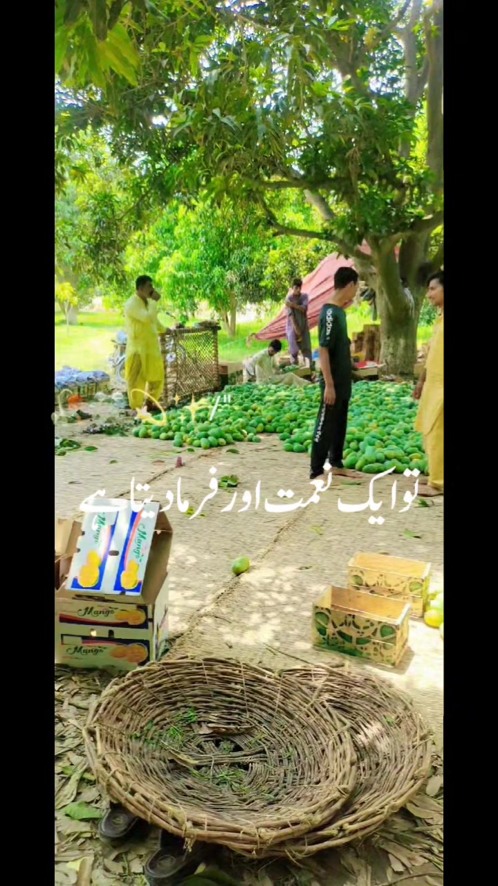 @Liaqat sahu