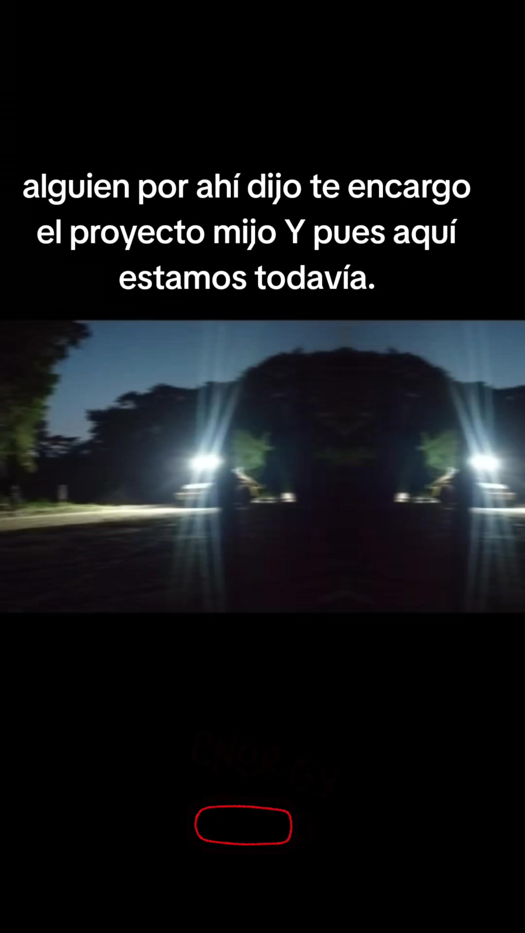 @lico
