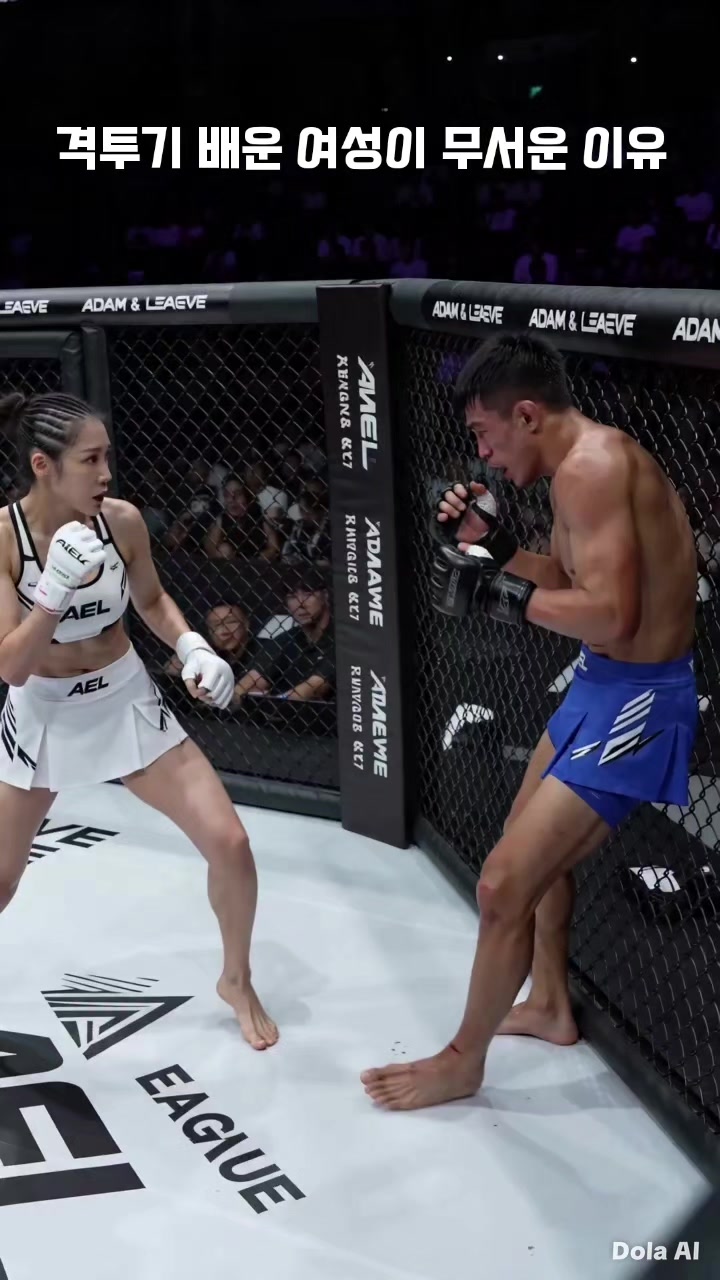@AEL Mixed fight