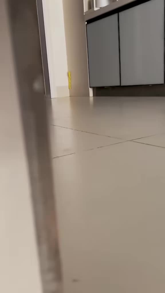 @catbosssss