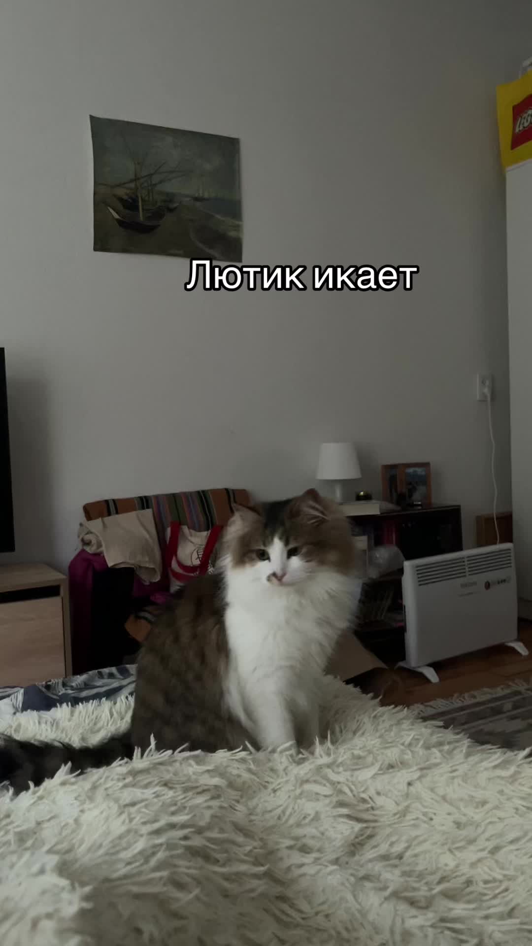 @Дяна
