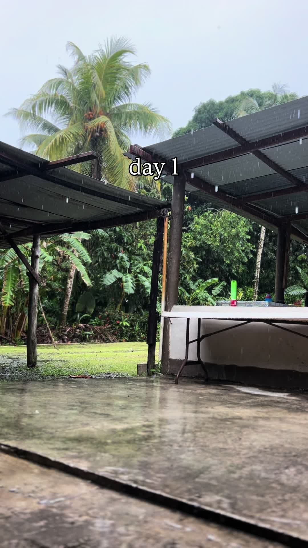 @SyLein👩🏻🍳🇫🇲