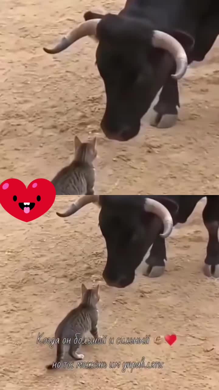 @Художник👺