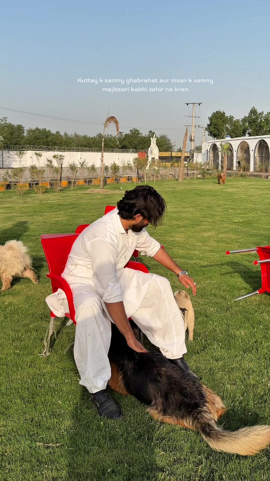 @حسنین سیال