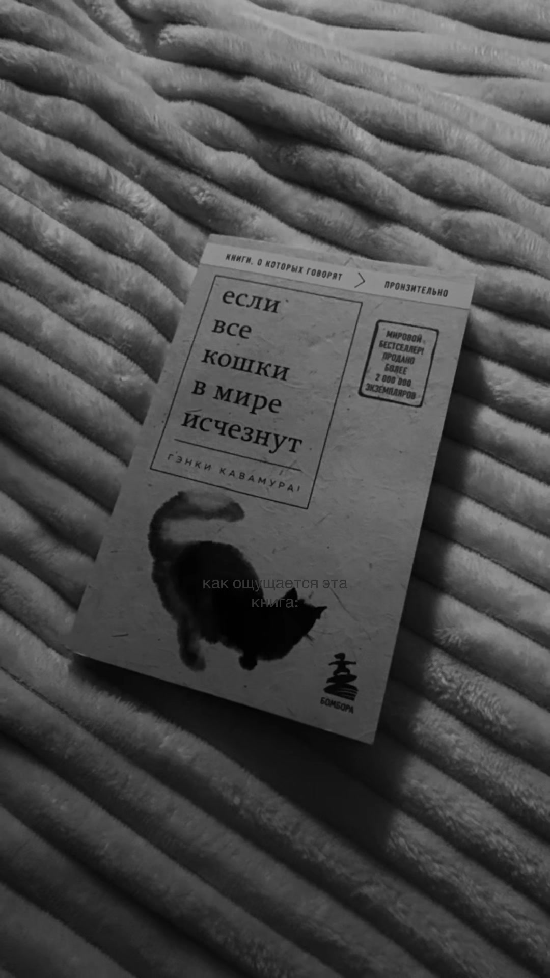 @avvy.books