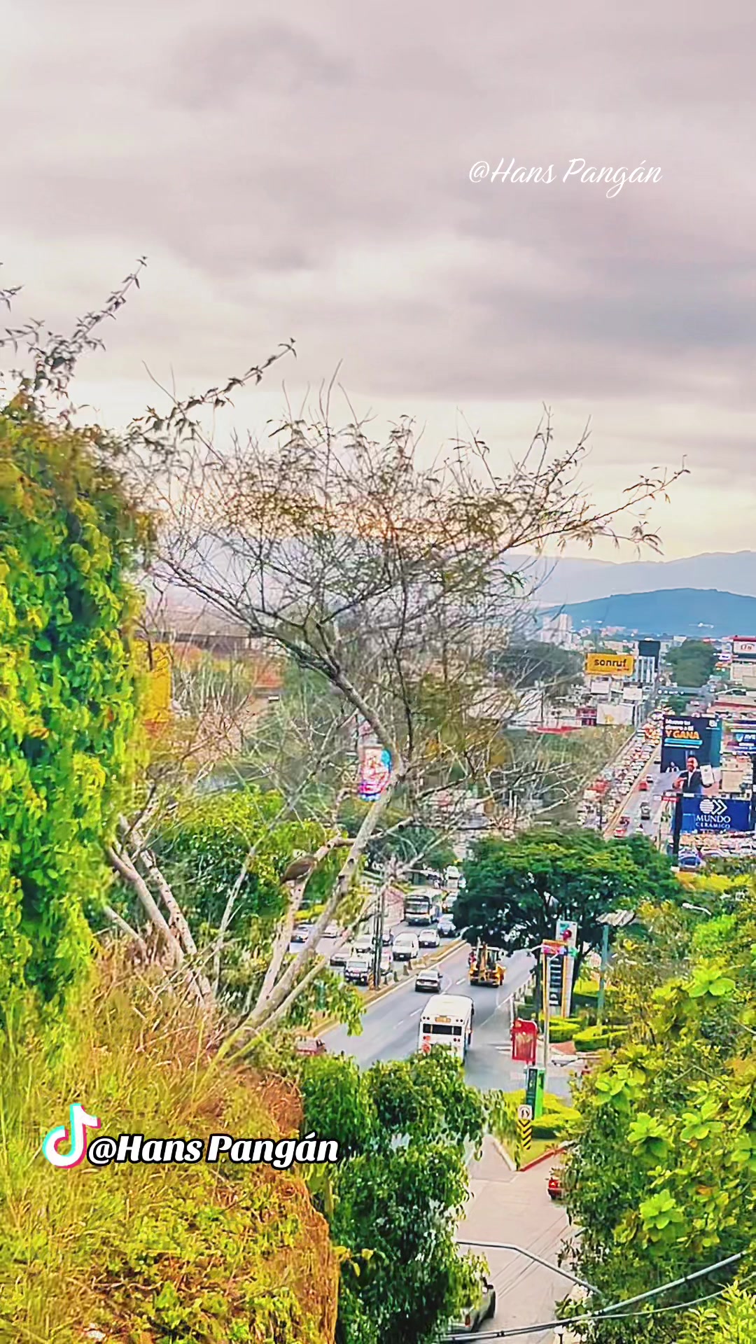 @🎥🇬🇹𝑯𝒂𝒏𝒔 𝑷𝒂𝒏𝒈𝒂́𝒏✅&reg;