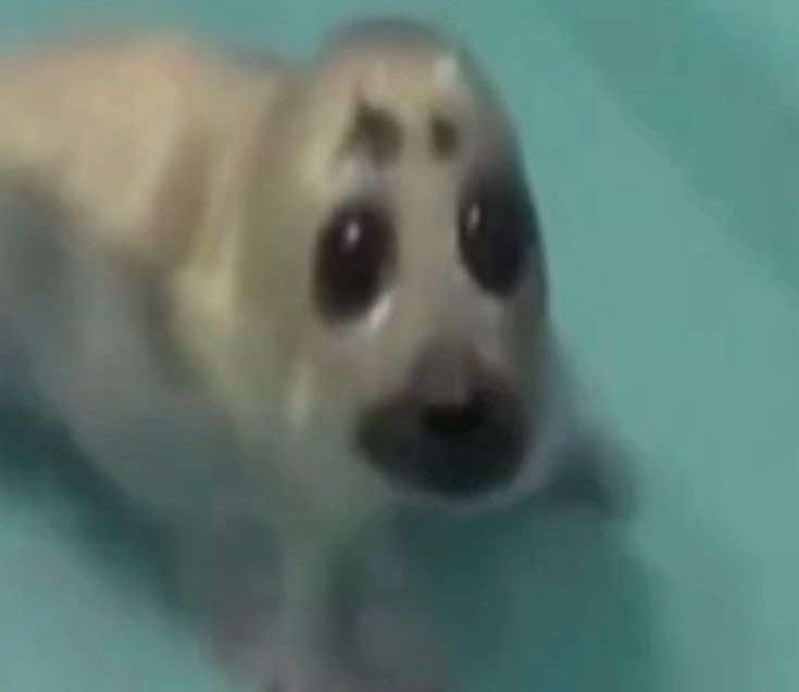 @RíoOöo