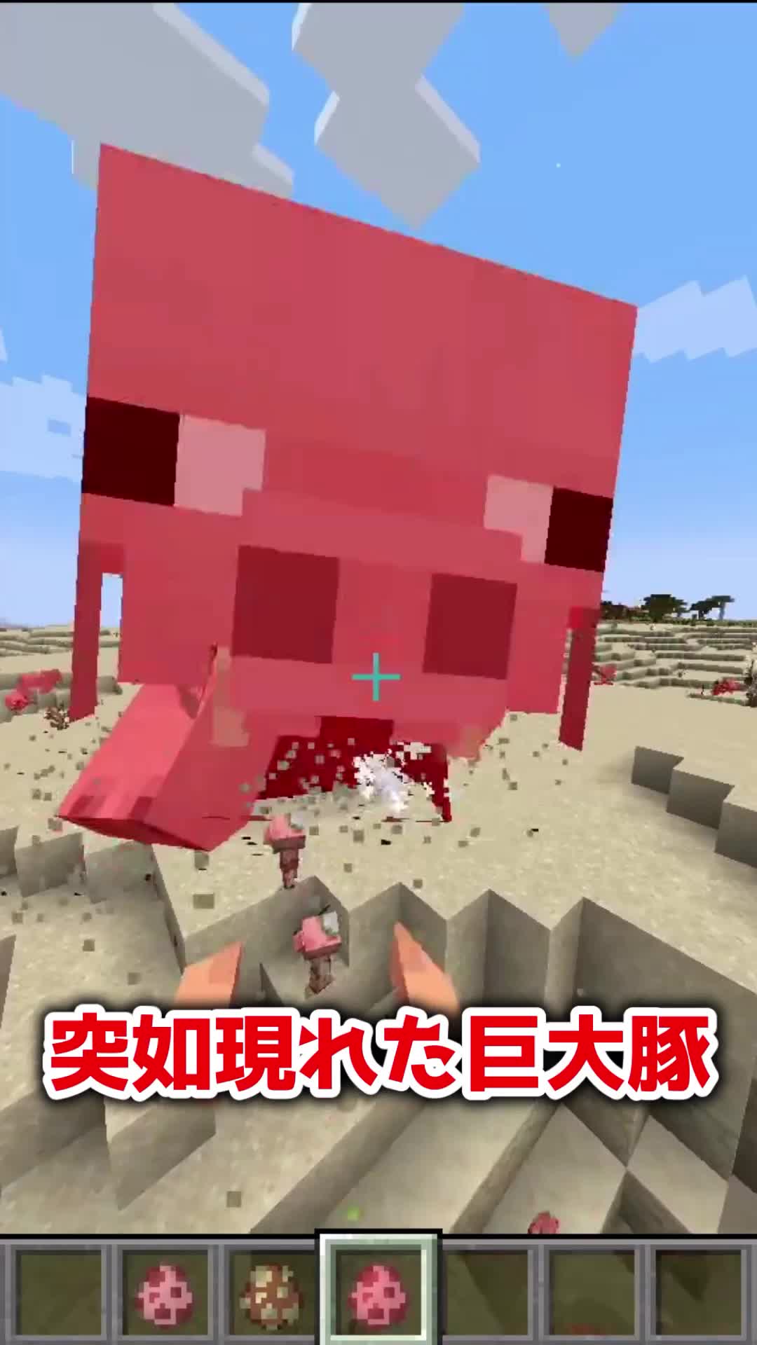 @鎖骨バナナ