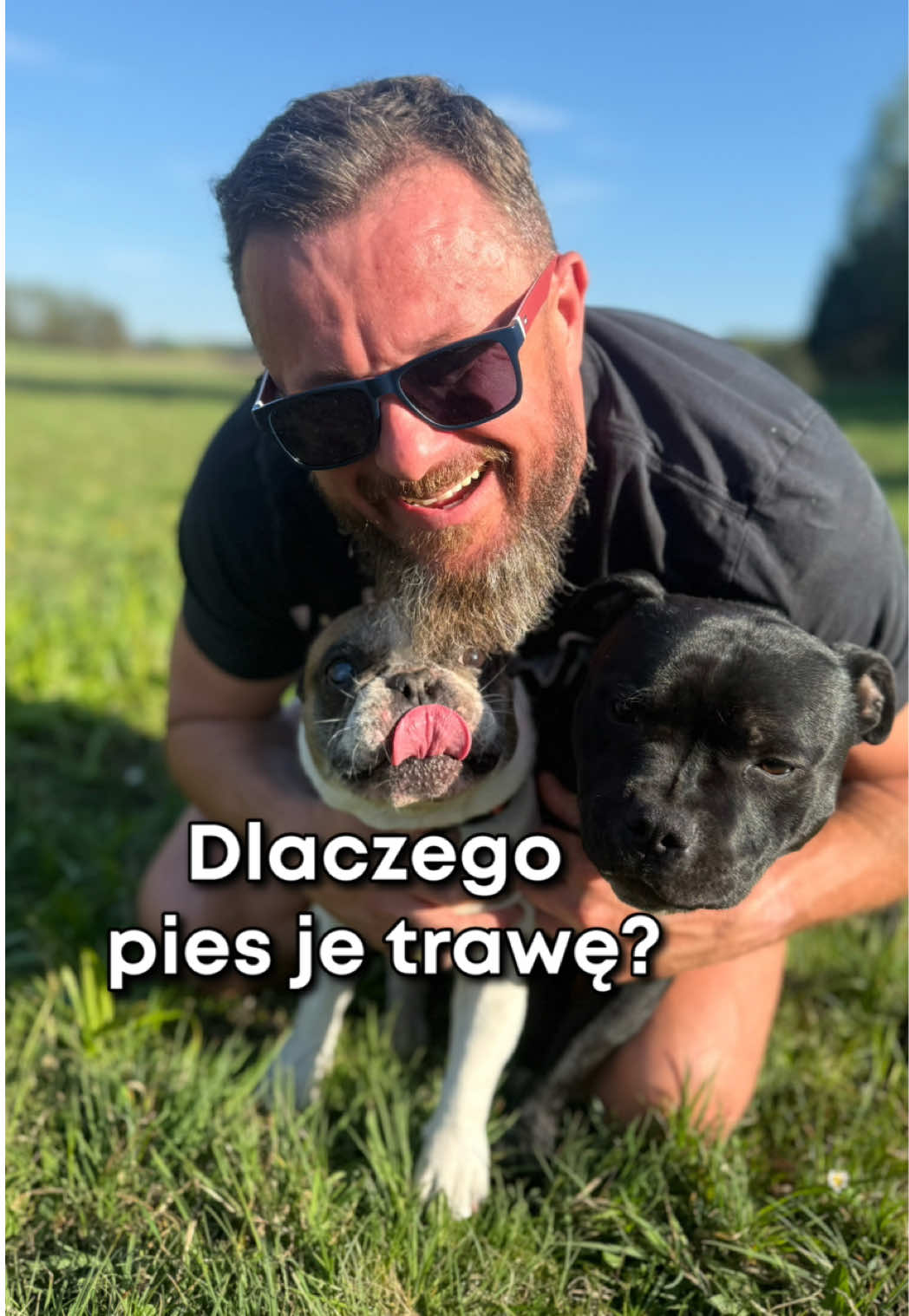 @cowdoctor_pl