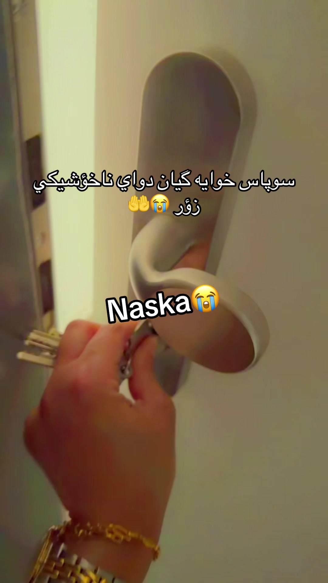 @naskagull6