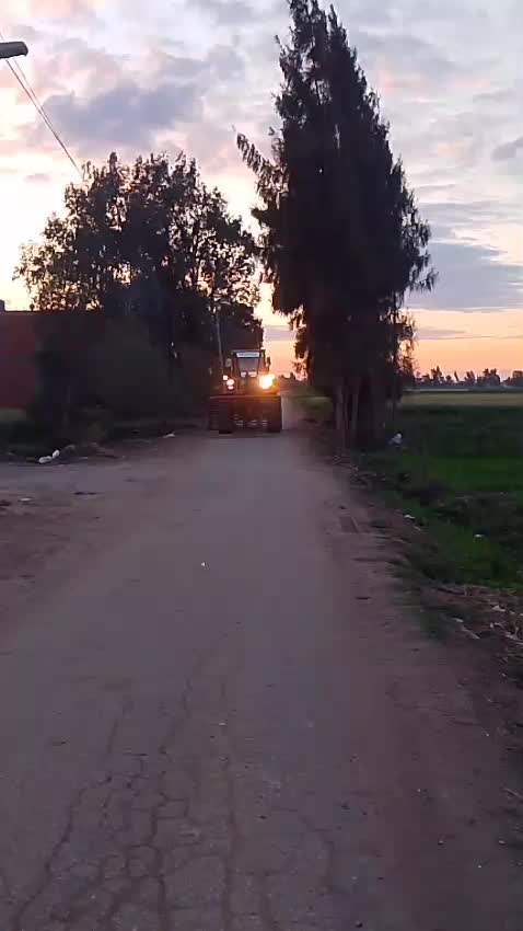@على المرسي