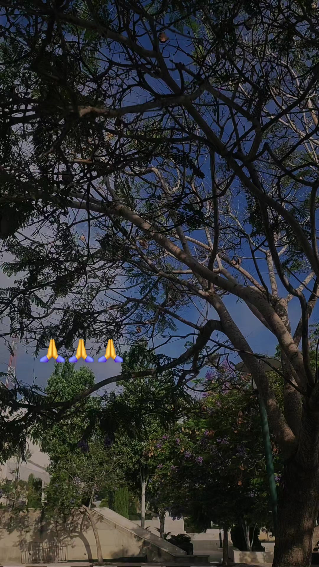 @𝓐🤍🦋𓂆