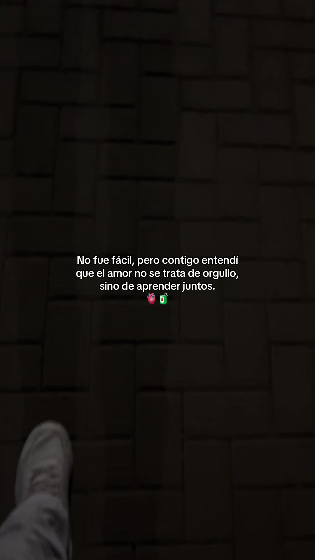 @Gatocix 🐱