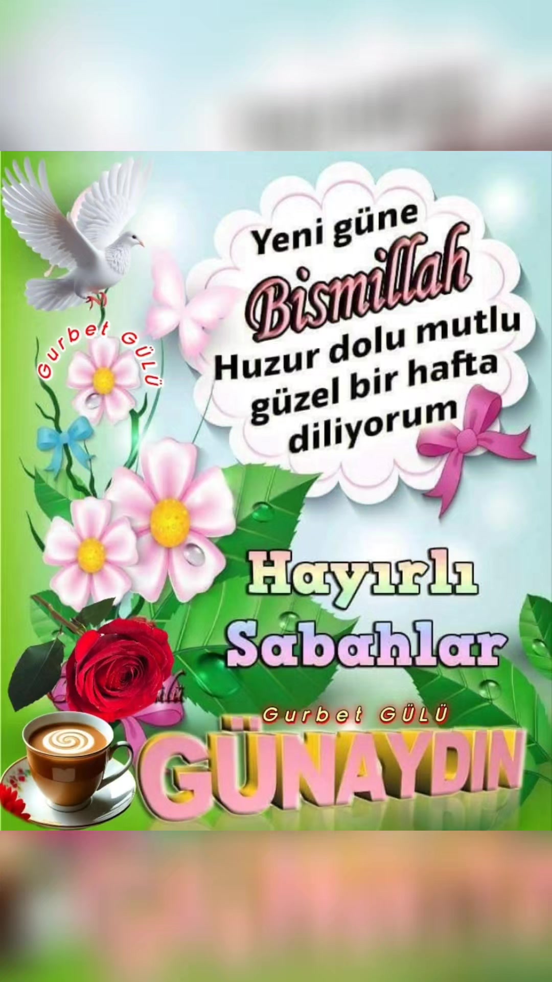 @🌹Hanife🌹