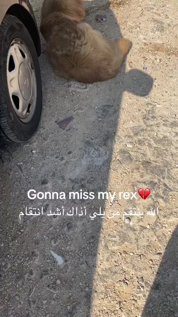 @saraaeter