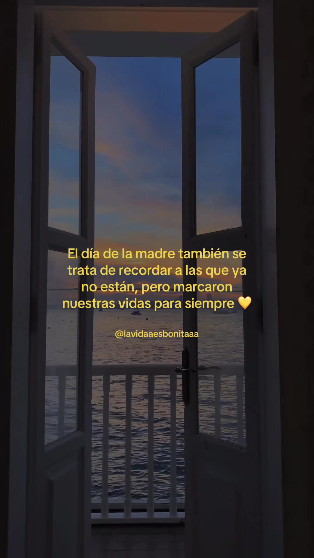 @vidabonita❤️&zwj;🩹