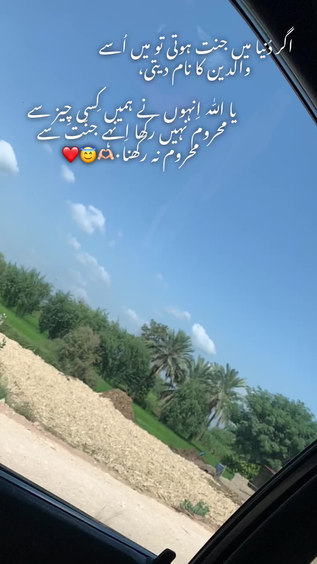 @Sahar Shaikh❤️