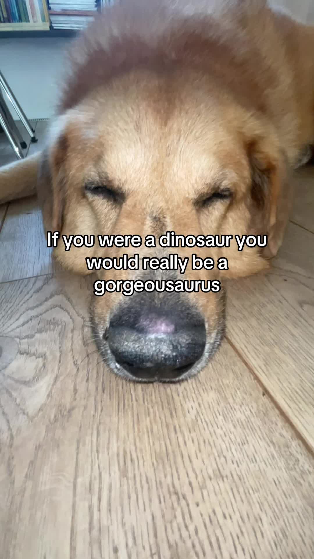 @Neo