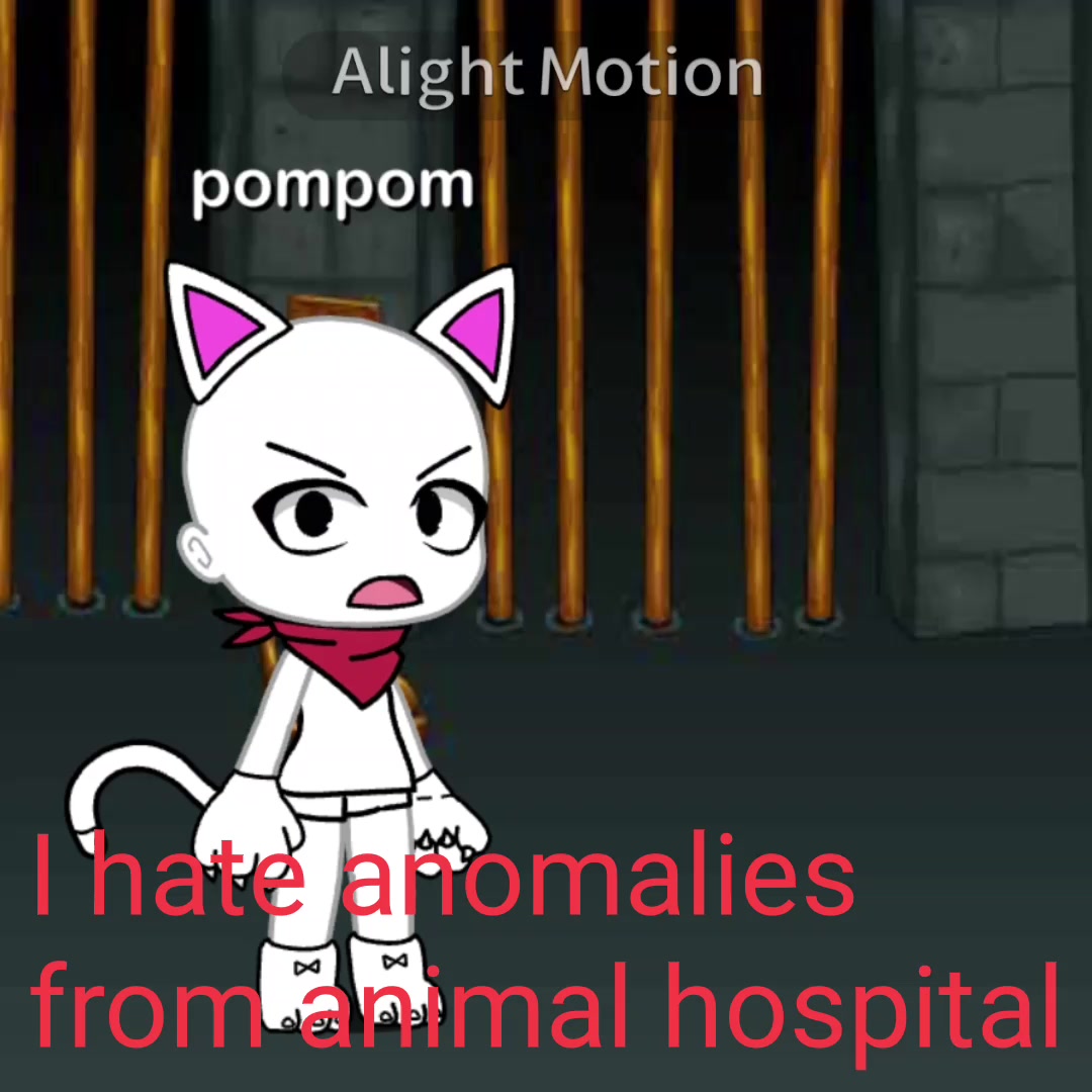 @pompom_cool2