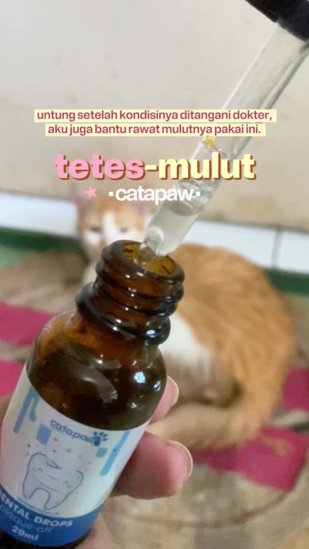 @kucingnyalingga🍉