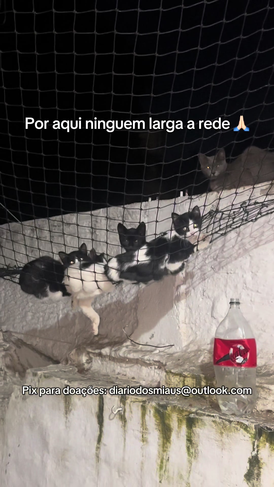 @diariodosmiaus16